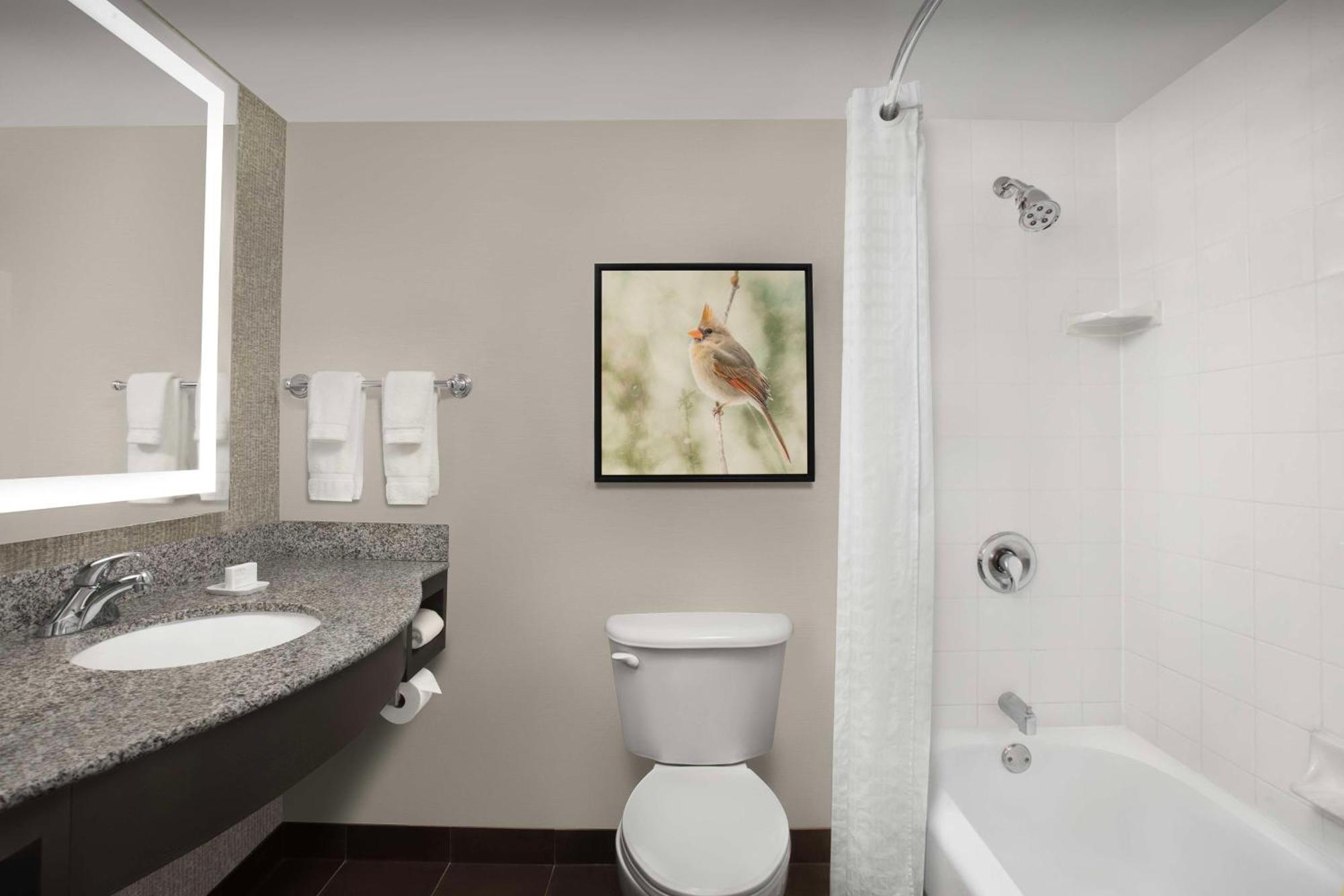 Hilton Garden Inn Hoffman Estates Ngoại thất bức ảnh